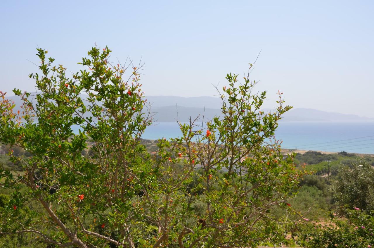 Kamária Helona Houses מראה חיצוני תמונה